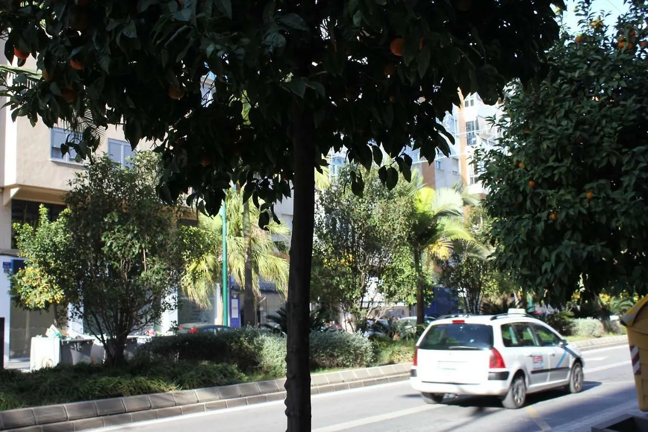 Malaga Beauty Home Apartment